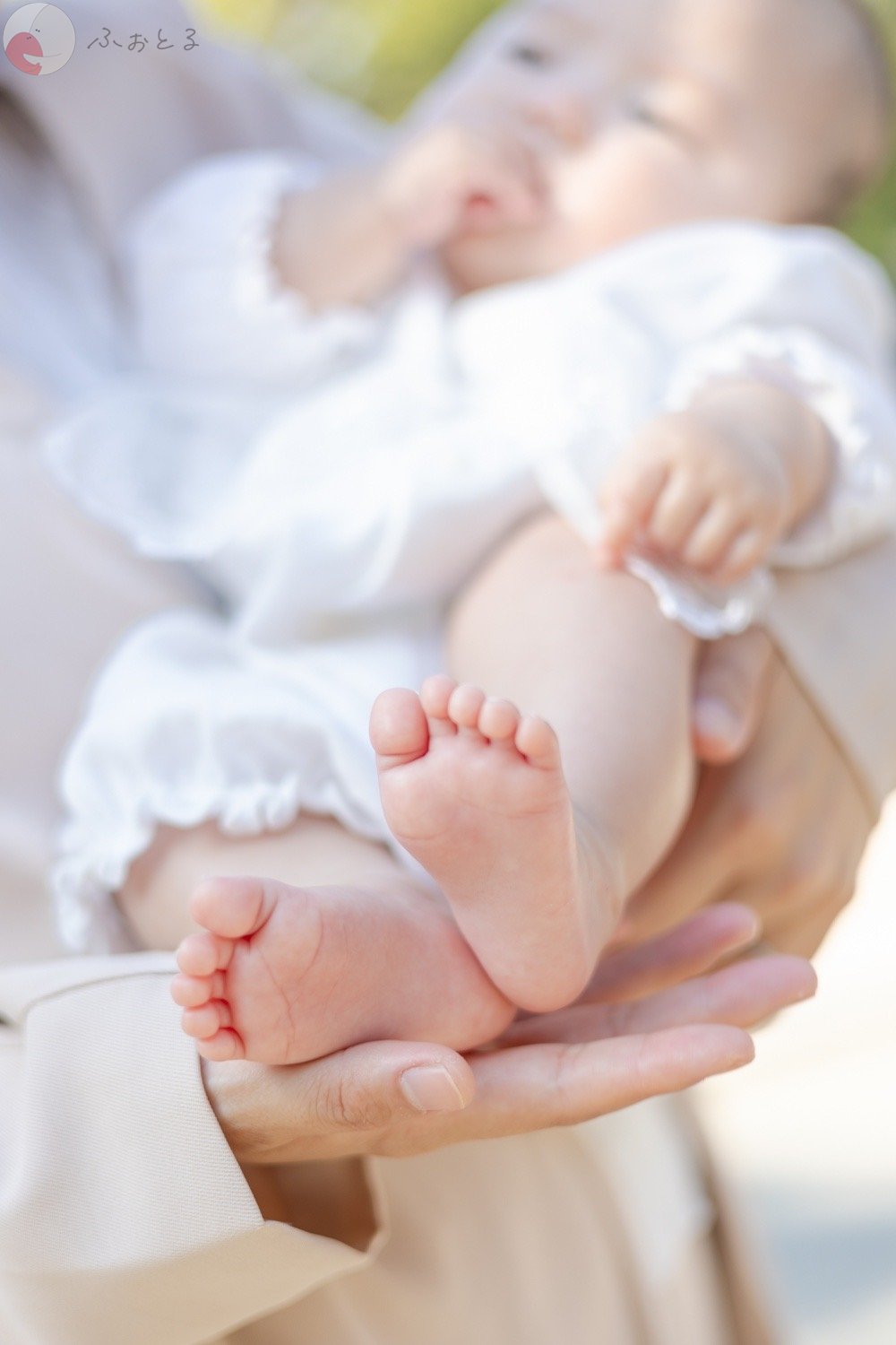 堀尾　匠のポートフォリオ0