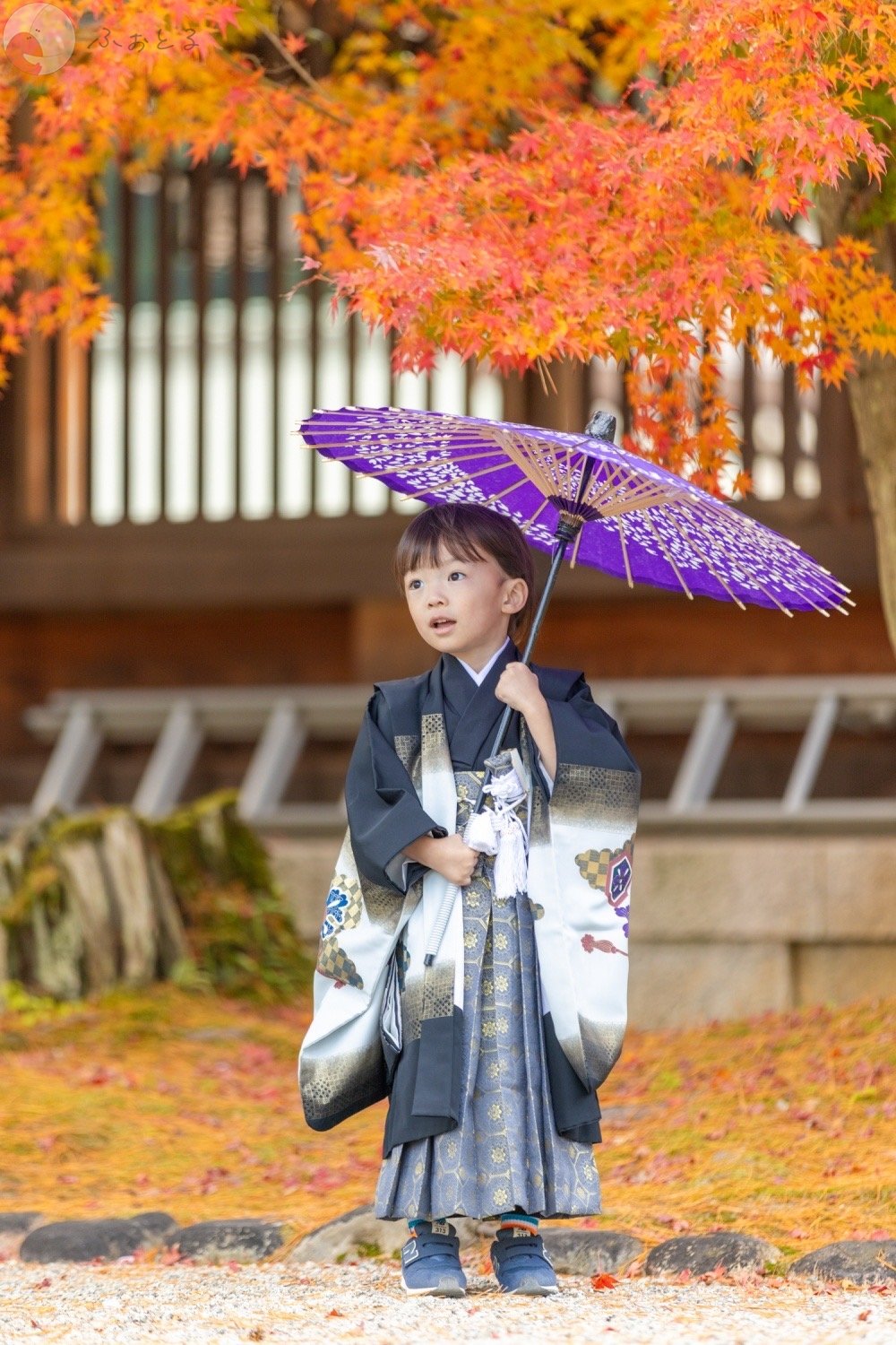 堀尾　匠のポートフォリオ3