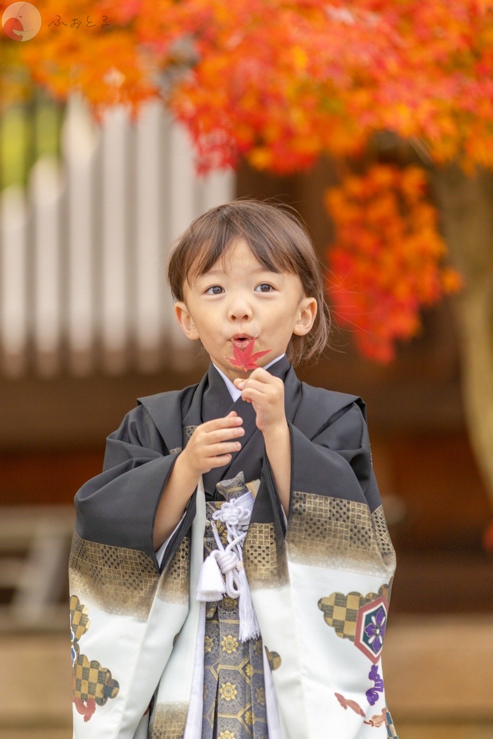 堀尾　匠のポートフォリオ5