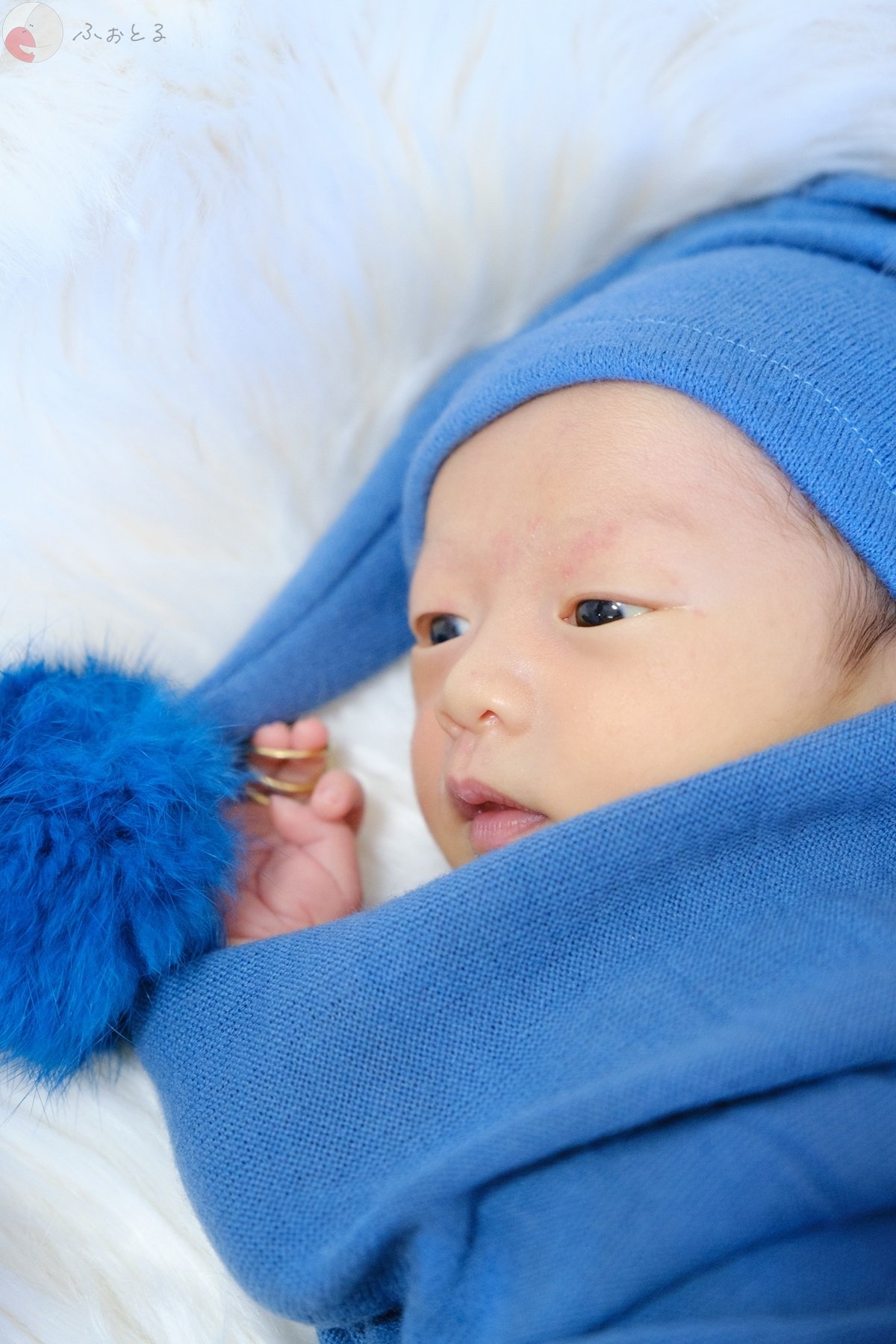 りんたのポートフォリオ0