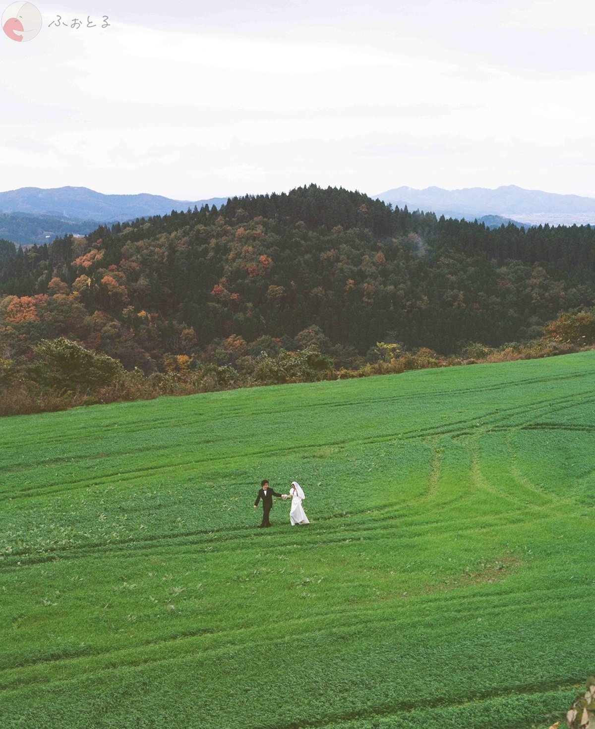 りんたのポートフォリオ3