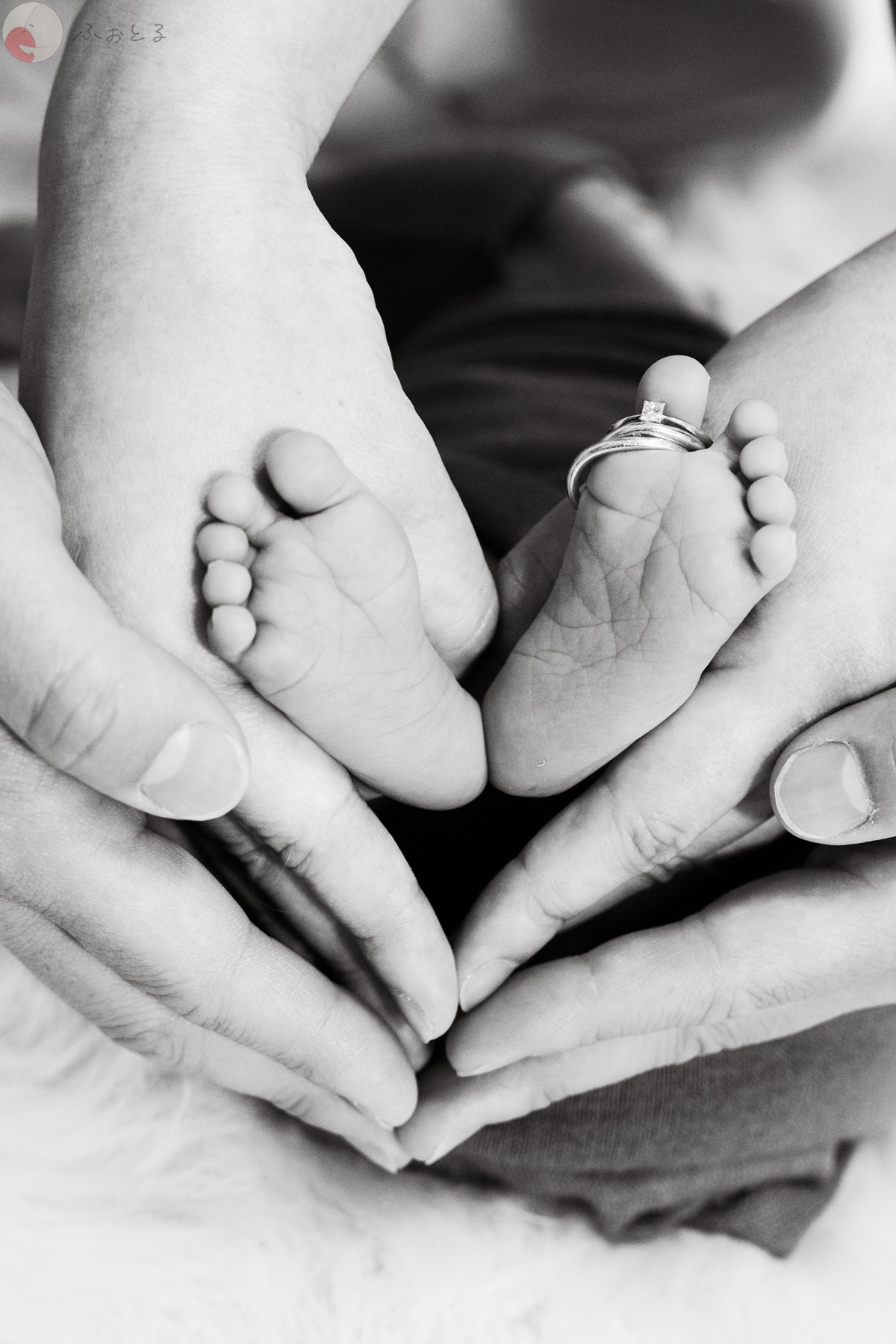 りんたのポートフォリオ7