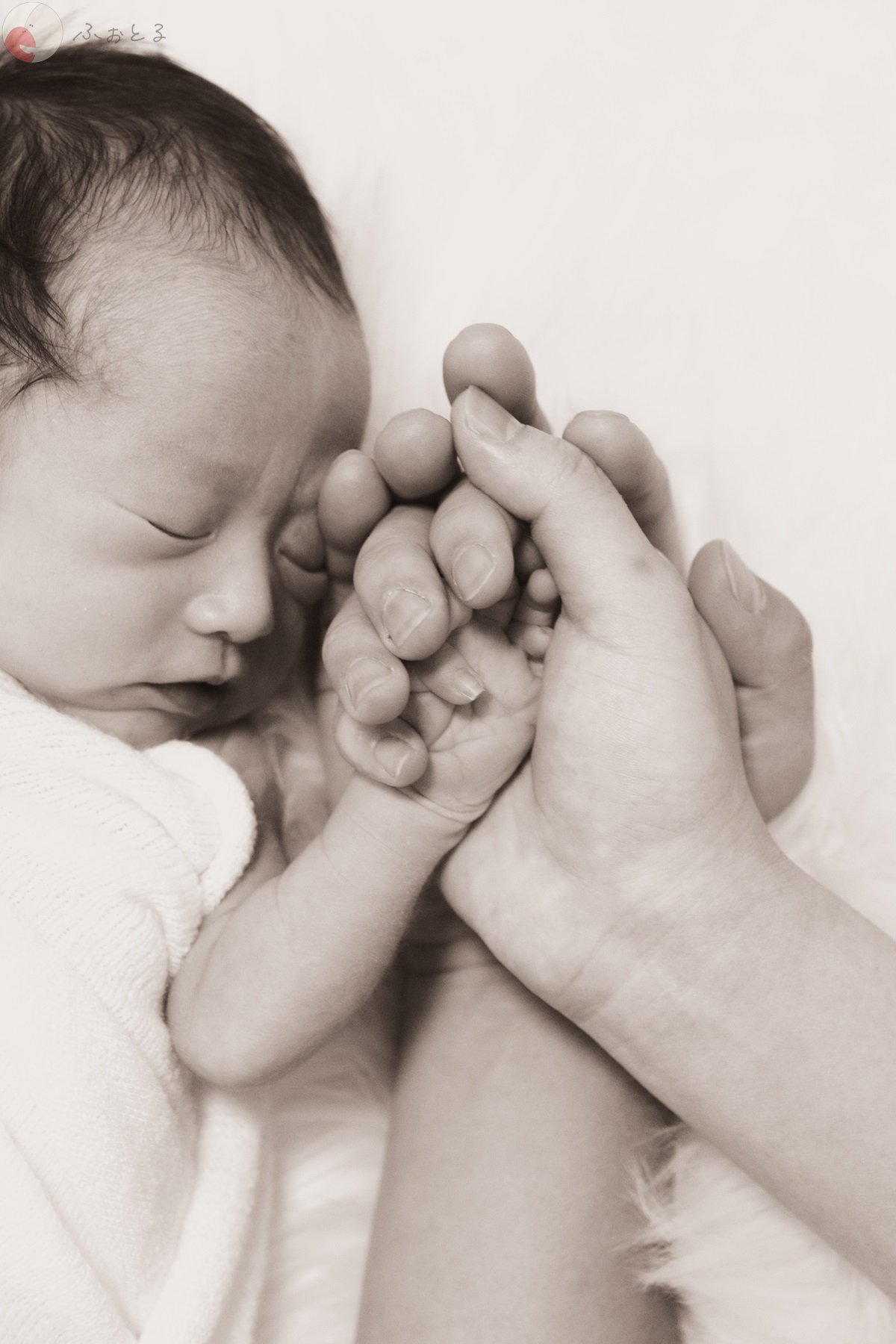 りんたのポートフォリオ9