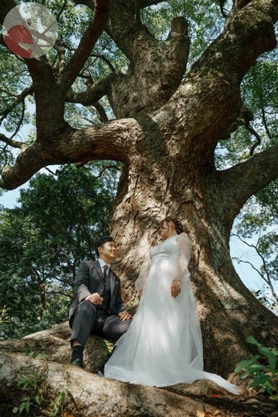 隼田 駿のポートフォリオ1