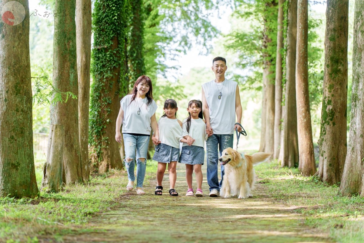 かったんのポートフォリオ4