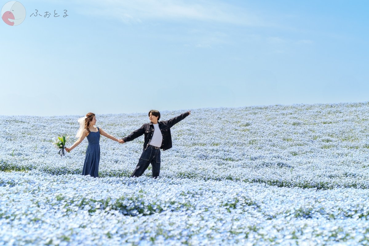 かったんのポートフォリオ6