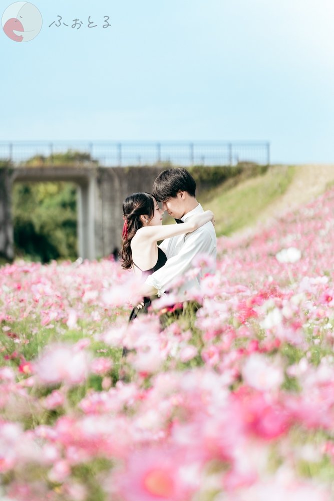 かったんのポートフォリオ1