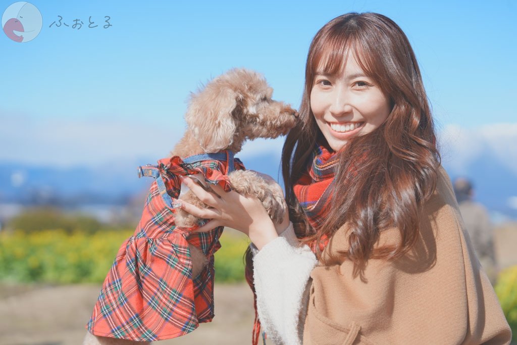 Daigo Yokomizoのポートフォリオ8