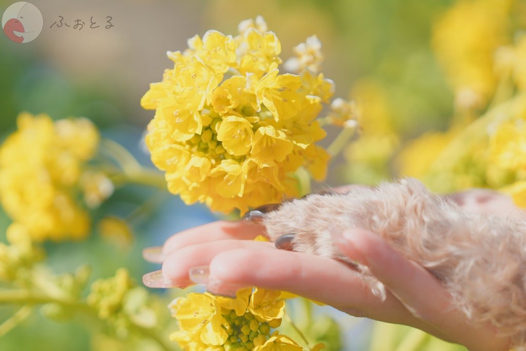 Daigo Yokomizoのポートフォリオ5