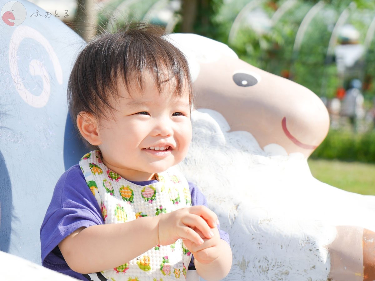 KOZAのポートフォリオ8