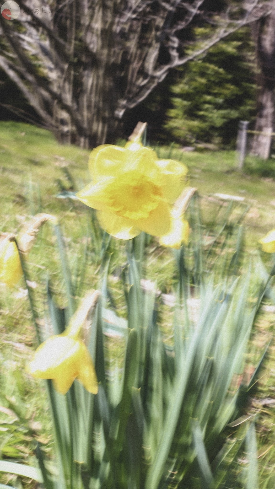 Yukakoのポートフォリオ2