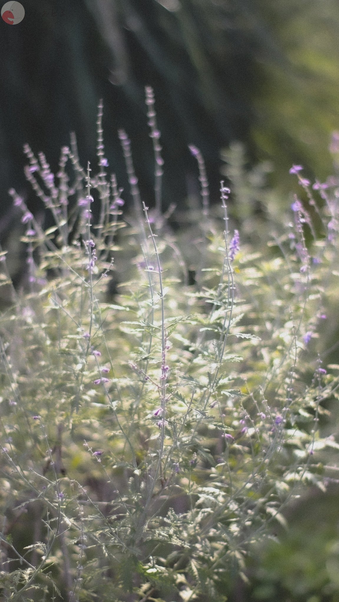 Yukakoのポートフォリオ4