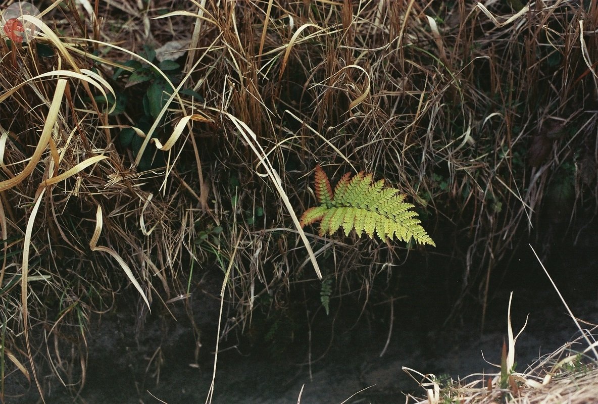 y.yamakuchiのポートフォリオ0