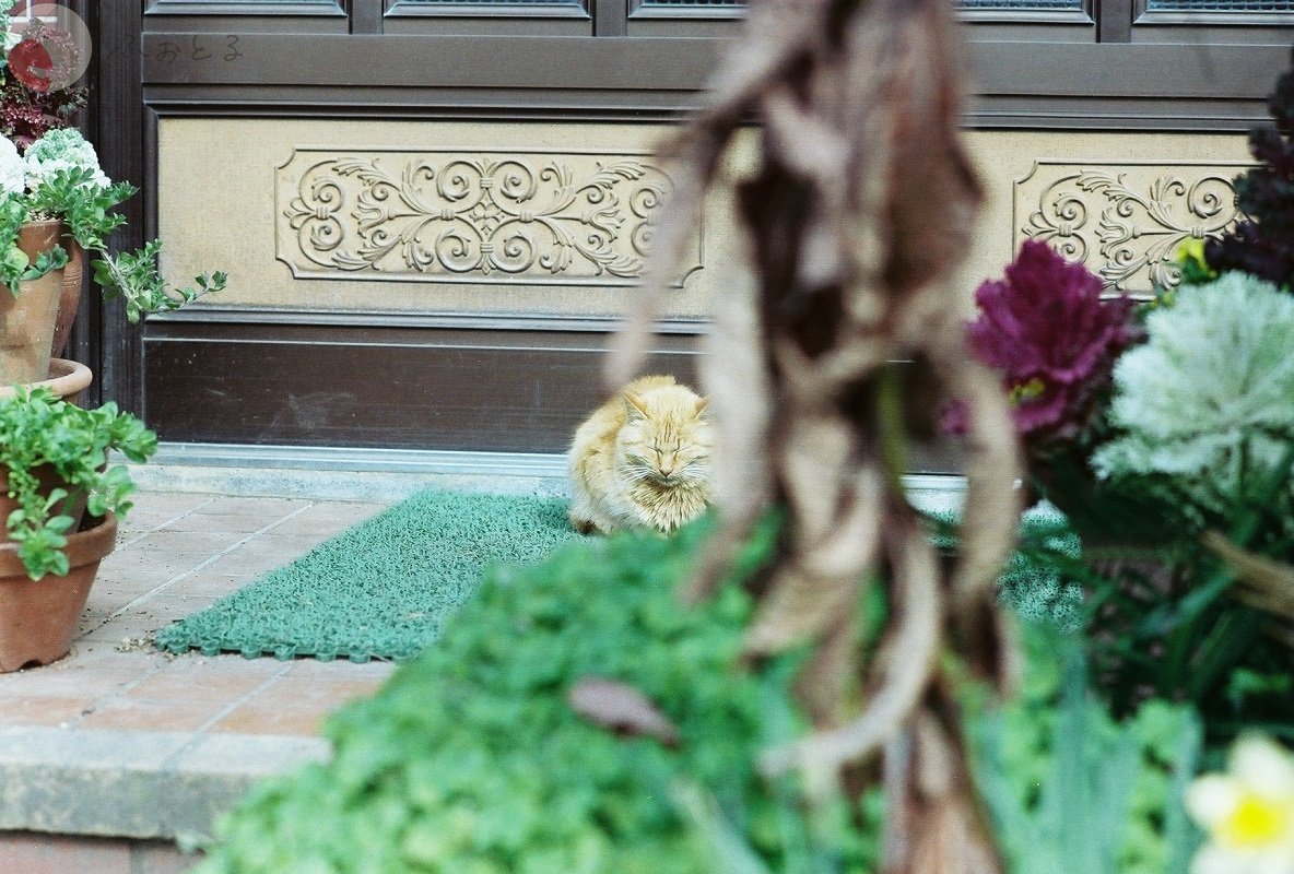 y.yamakuchiのポートフォリオ2