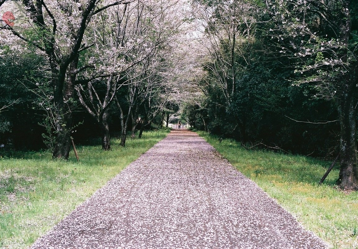 y.yamakuchiのポートフォリオ3