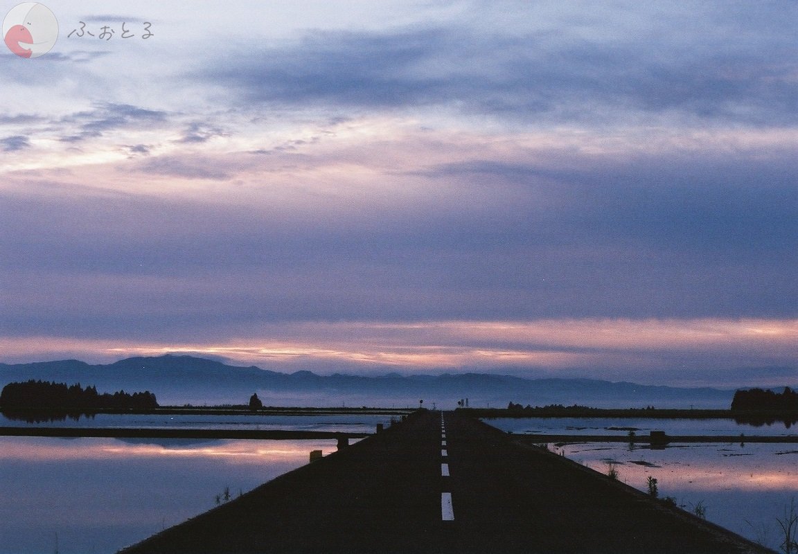 y.yamakuchiのポートフォリオ7