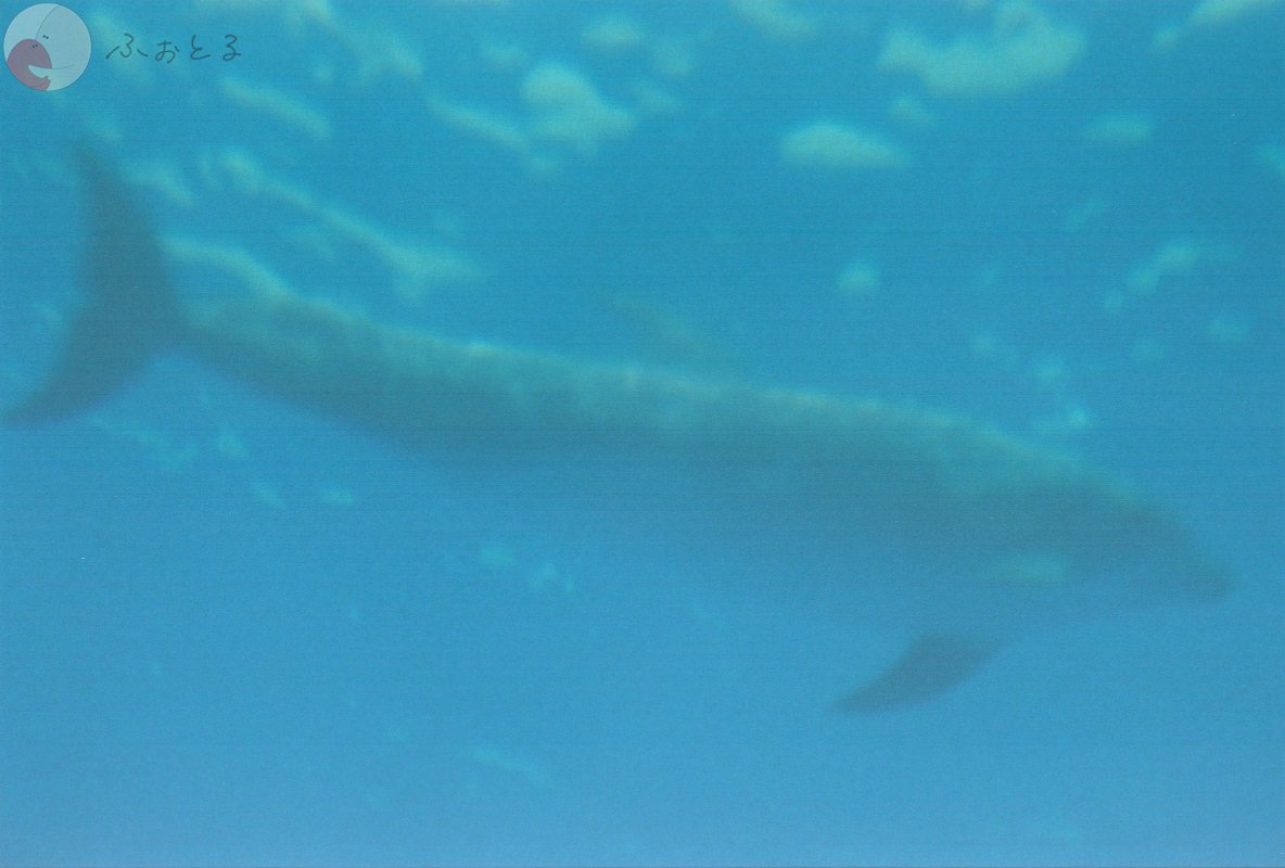 y.yamakuchiのポートフォリオ8