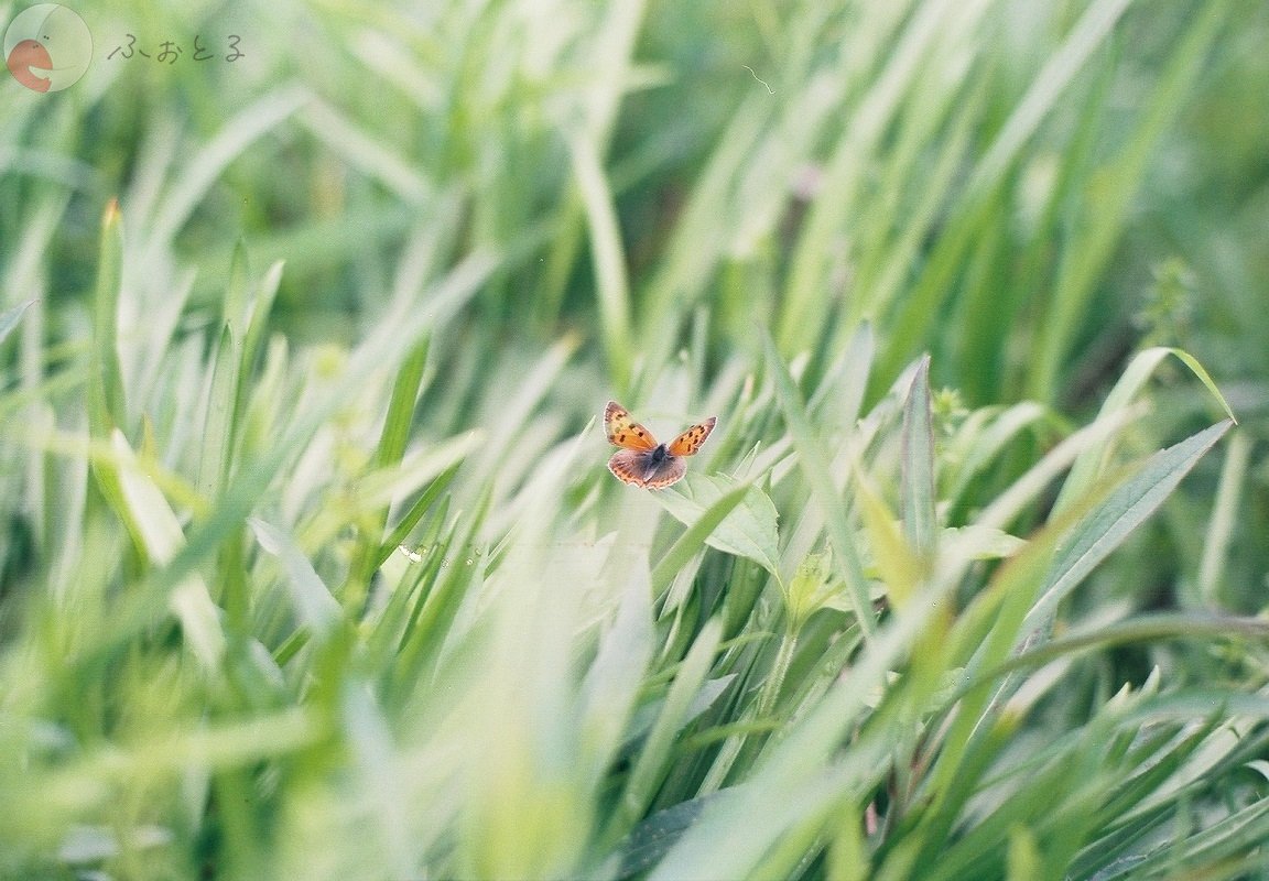 y.yamakuchiのポートフォリオ9