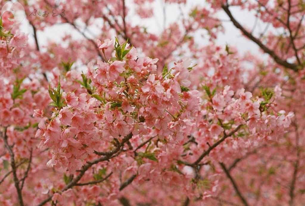 カナガワユウイチロウのポートフォリオ3