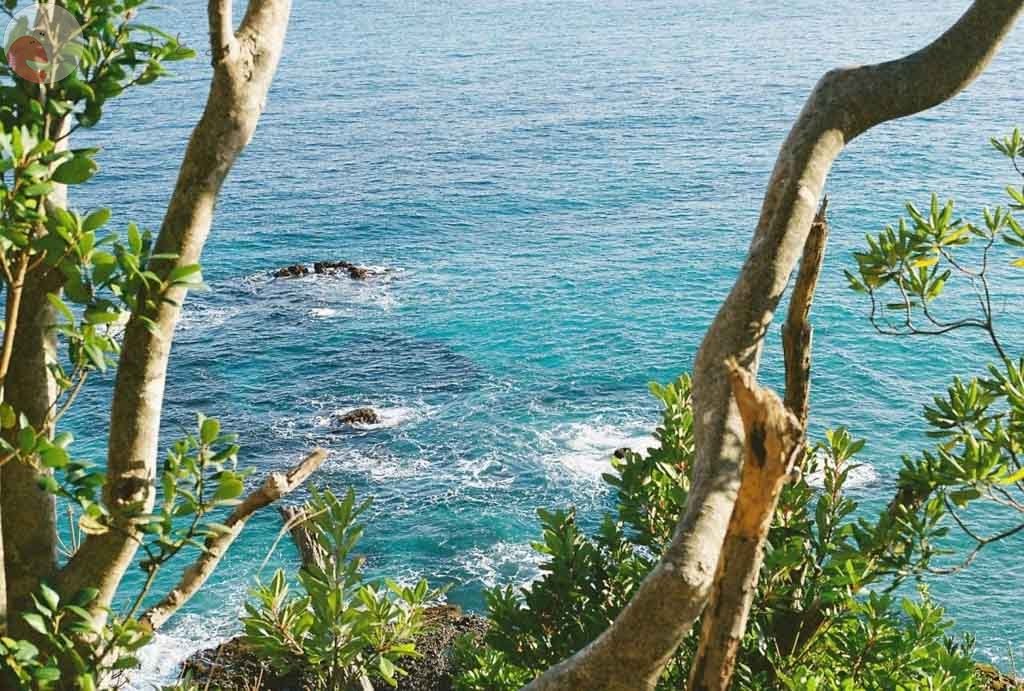 カナガワユウイチロウのポートフォリオ5