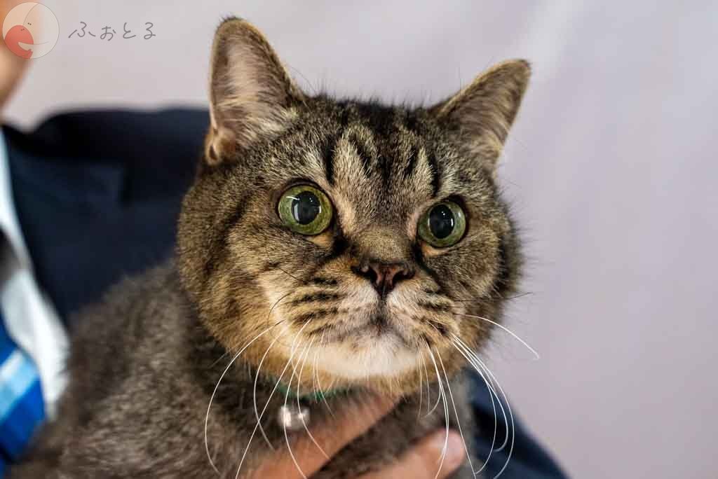 カナガワユウイチロウのポートフォリオ3