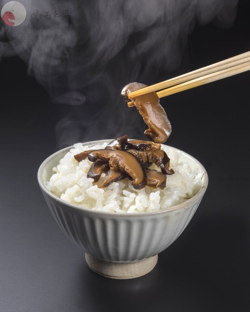 深澤猛志のポートフォリオ2