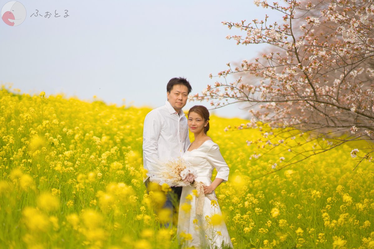 田中のポートフォリオ9