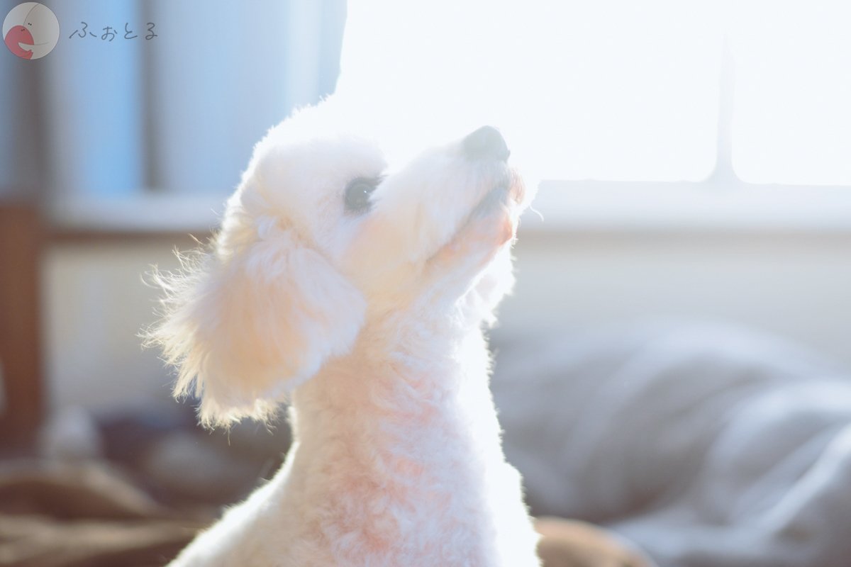 ヤマグチ　ミオのポートフォリオ5