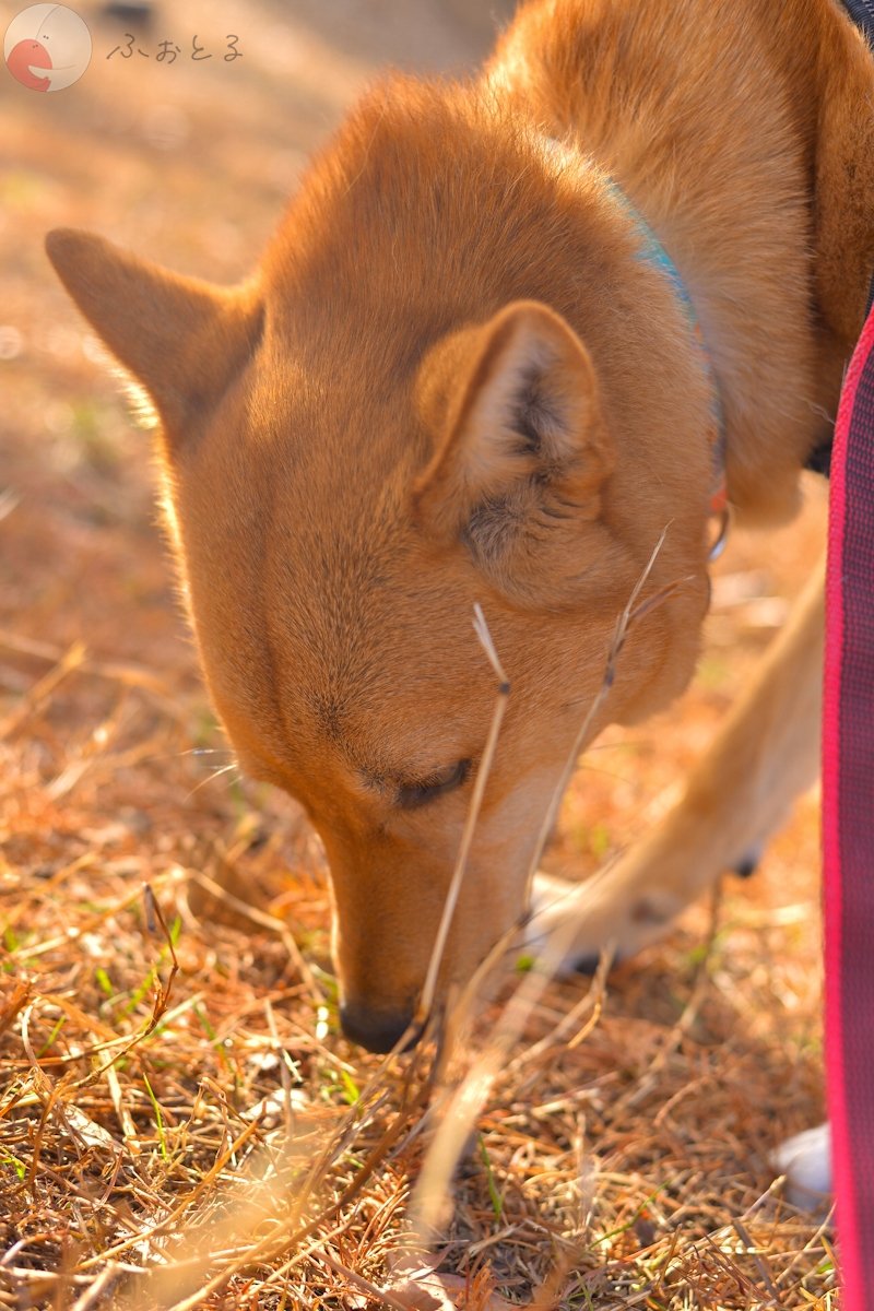 ヤマグチ　ミオのポートフォリオ7