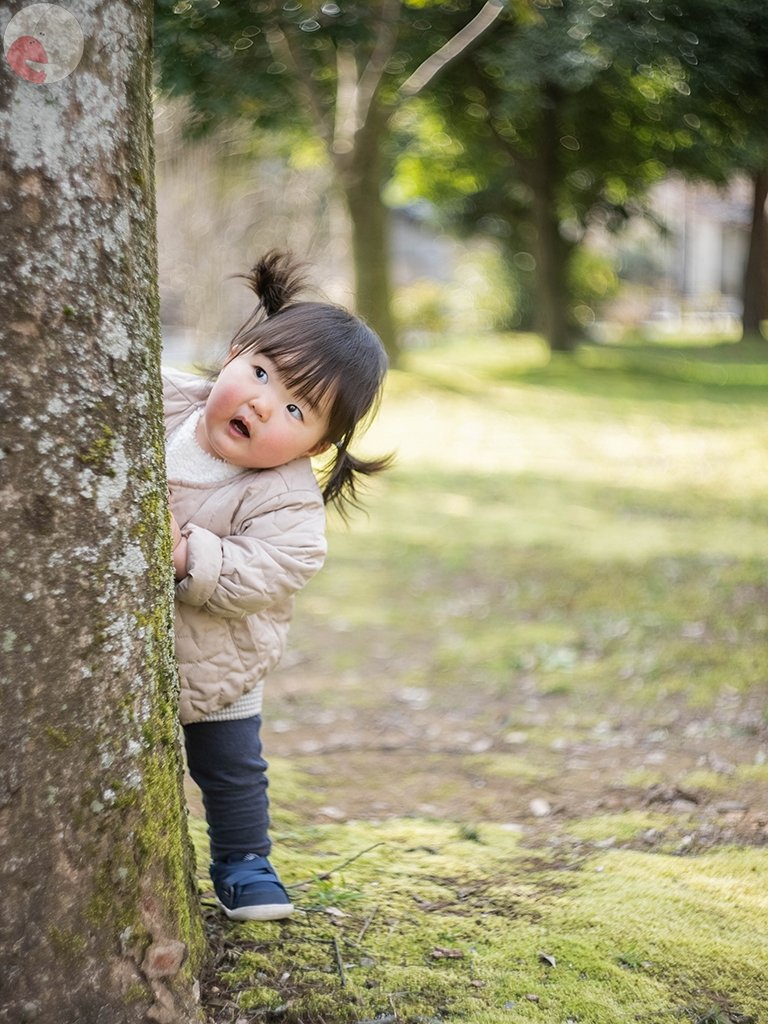 Yuのポートフォリオ1