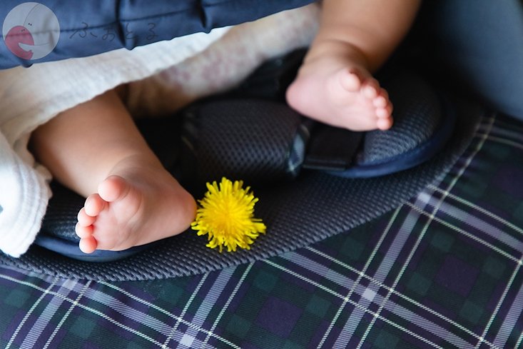 北川美代のポートフォリオ9