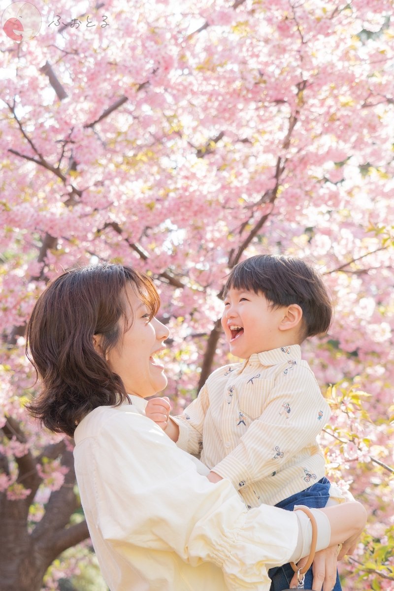 La page photo studioのポートフォリオ1