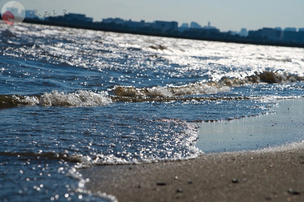 かめとしのポートフォリオ0