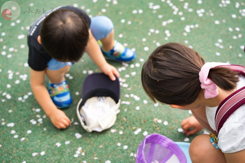 かめとしのポートフォリオ1