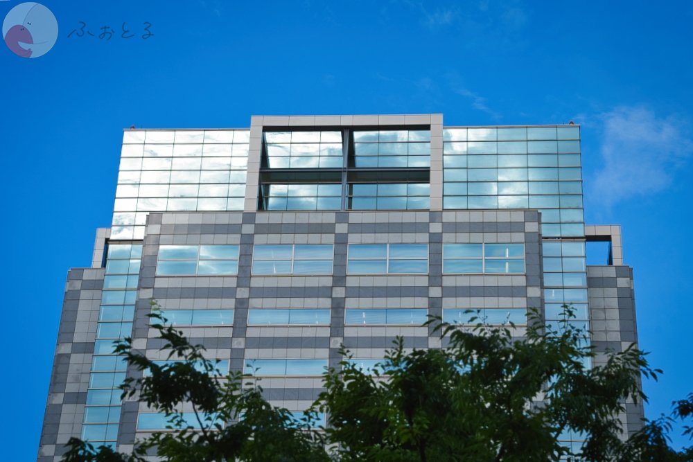 かめとしのポートフォリオ2