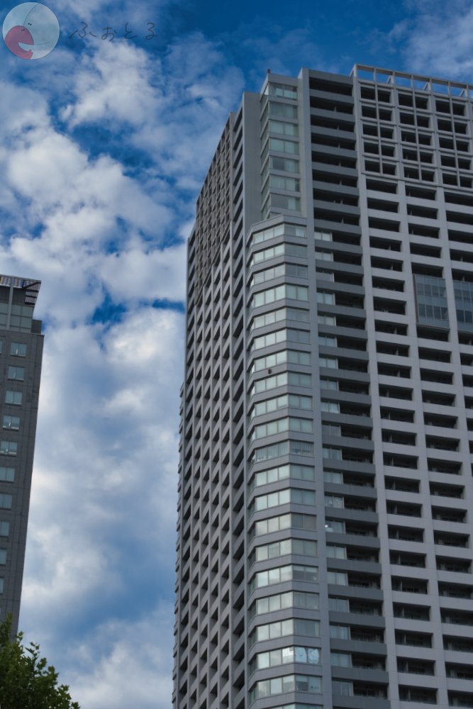 かめとしのポートフォリオ3