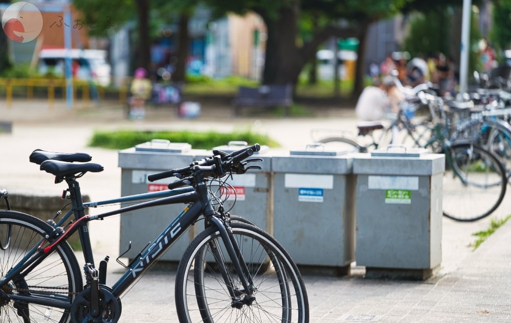 かめとしのポートフォリオ4