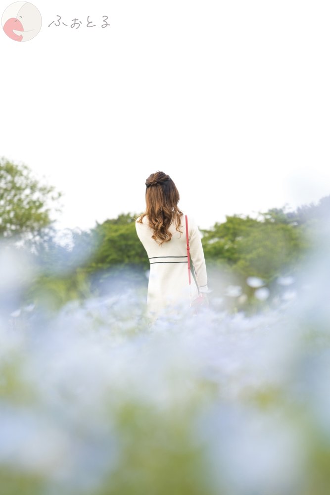 かめとしのポートフォリオ5