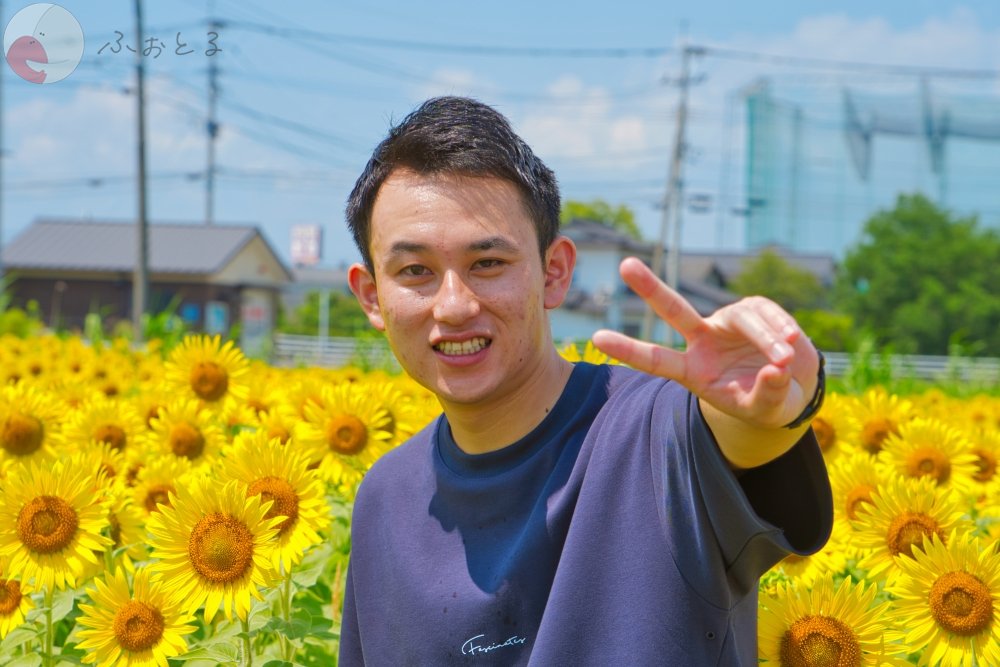 かめとしのポートフォリオ0