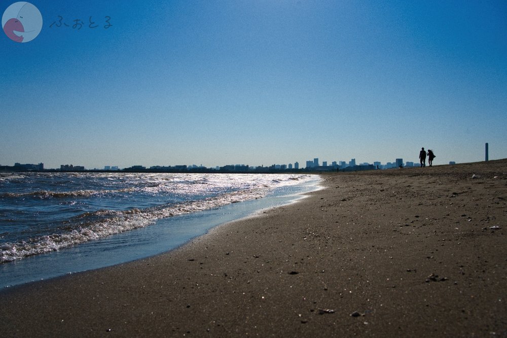 かめとしのポートフォリオ8