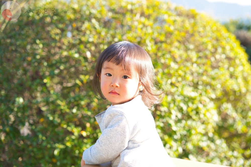 かめとしのポートフォリオ9