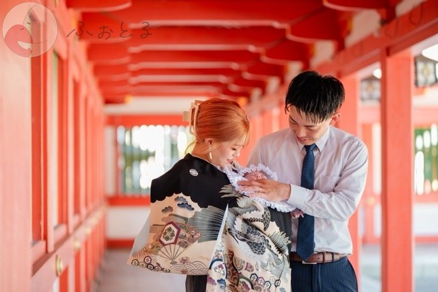 スタジオ・モリセのポートフォリオ2