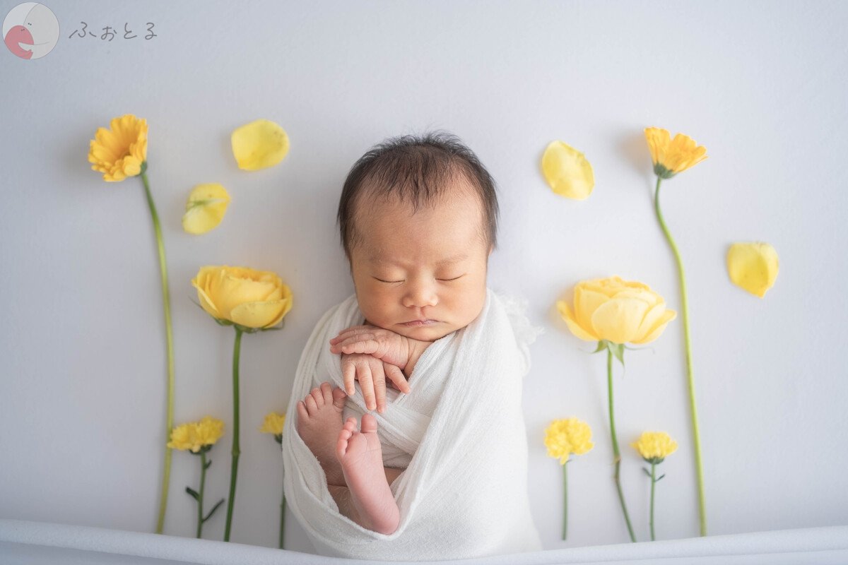 米　なのはのポートフォリオ1