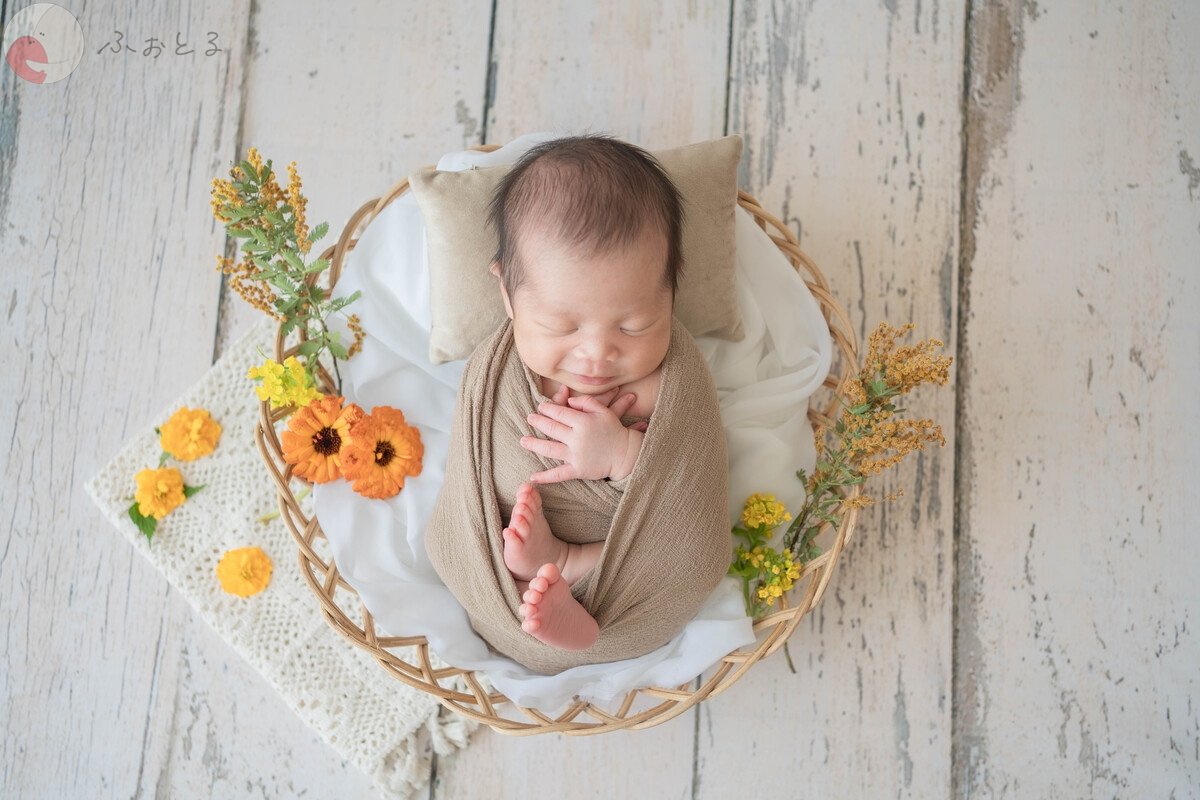 米　なのはのポートフォリオ5