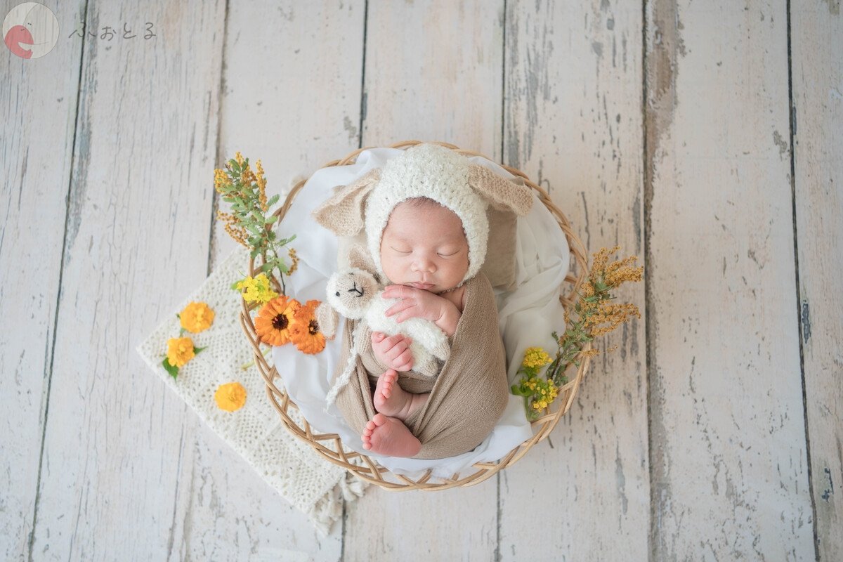 米　なのはのポートフォリオ8