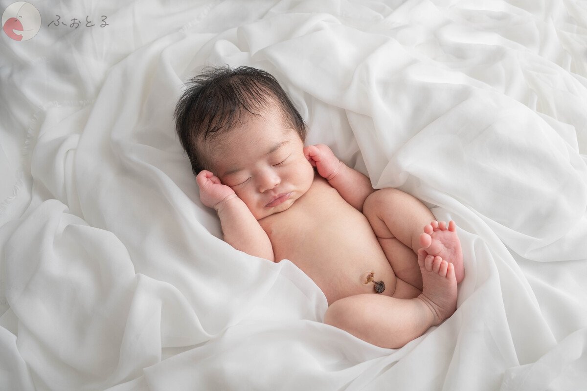 米　なのはのポートフォリオ6