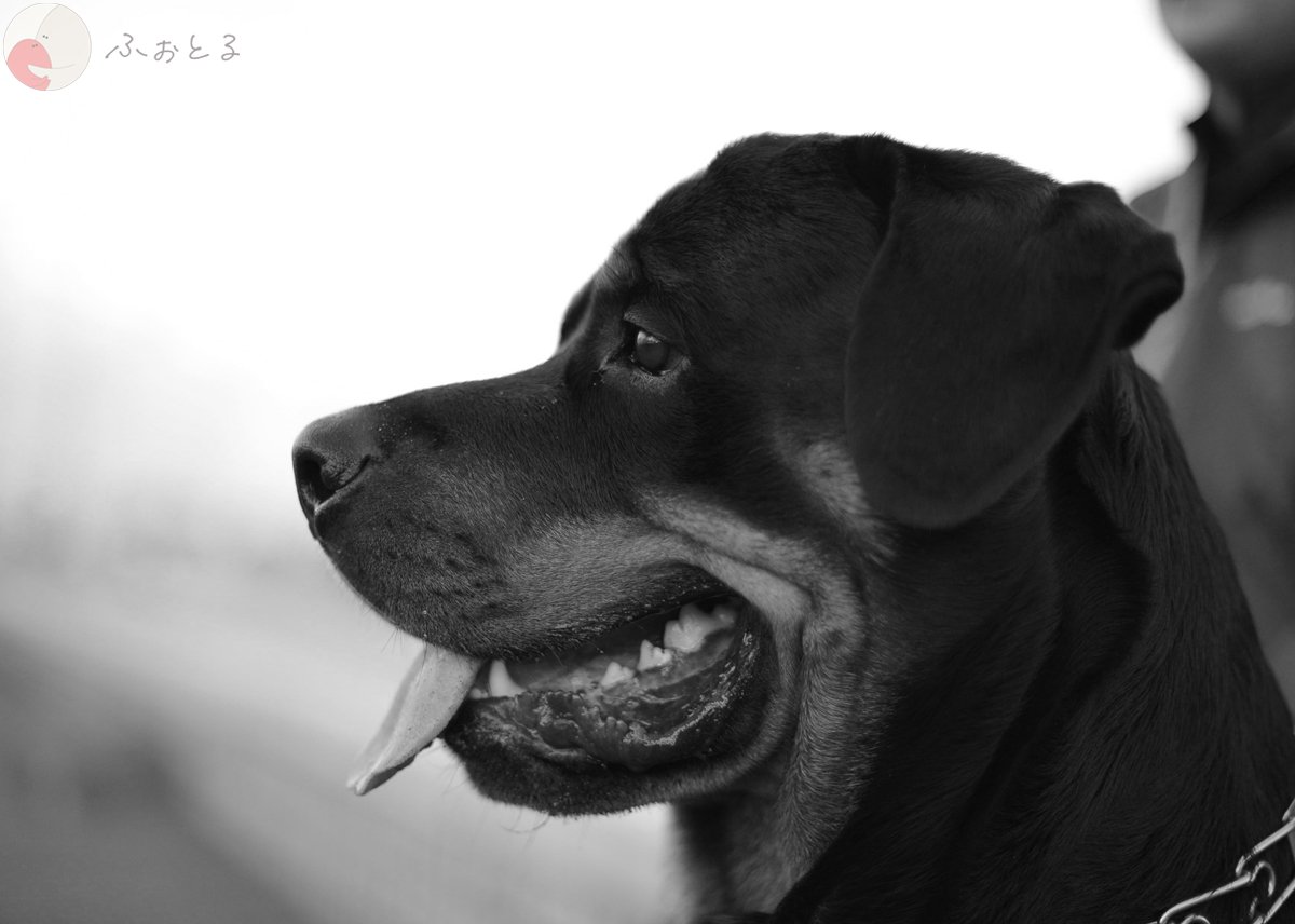 内藤宏和のポートフォリオ9