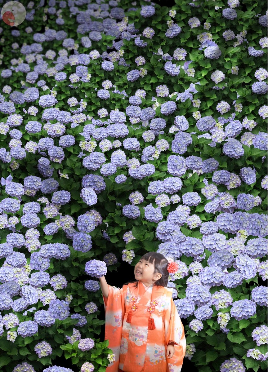 内藤宏和のポートフォリオ1