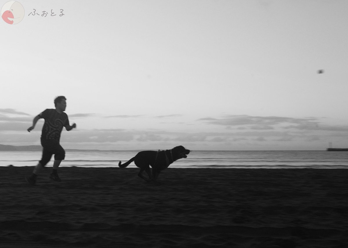 内藤宏和のポートフォリオ2