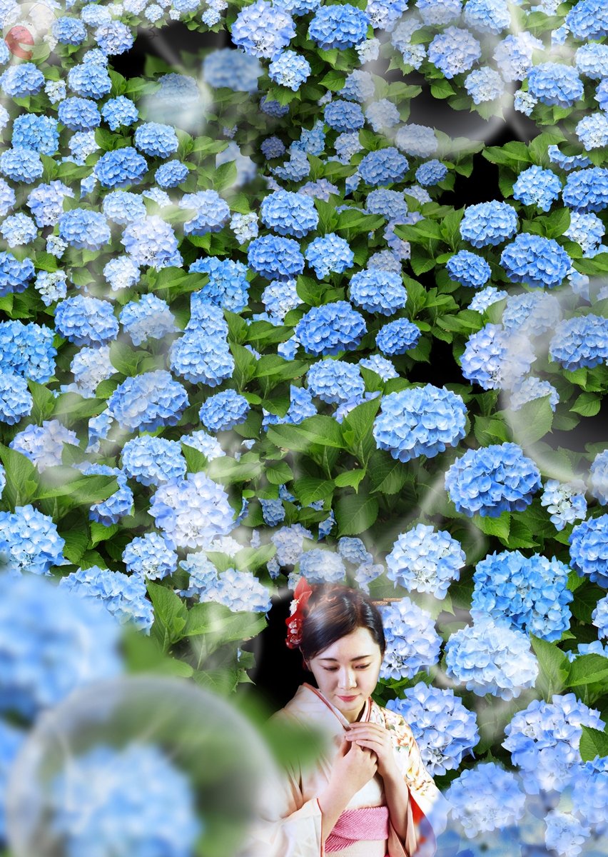 内藤宏和のポートフォリオ3